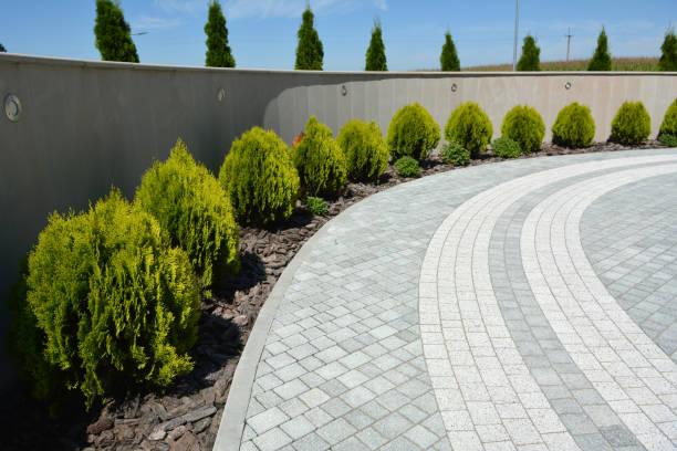 Best Driveway Paving Near Me  in Hendersonville, TN